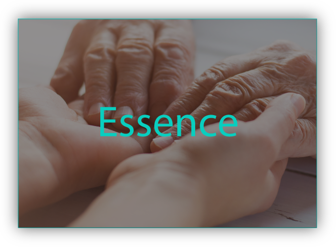 Essence-projekt Essence-projekt